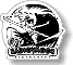radiovagor.gif
